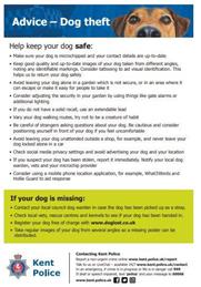 Dog Theft